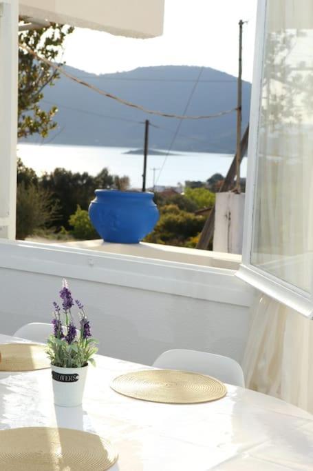 White Villa In Olive Trees And Seaview To Panagia Almiropótamos Exteriér fotografie