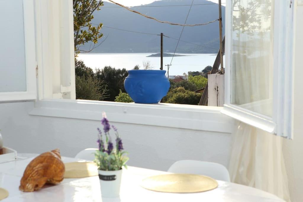 White Villa In Olive Trees And Seaview To Panagia Almiropótamos Exteriér fotografie