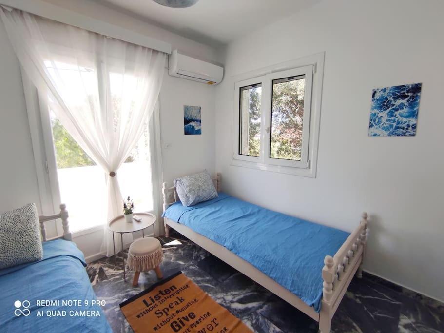 White Villa In Olive Trees And Seaview To Panagia Almiropótamos Exteriér fotografie