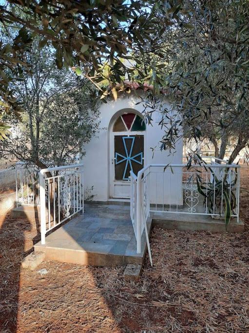 White Villa In Olive Trees And Seaview To Panagia Almiropótamos Exteriér fotografie