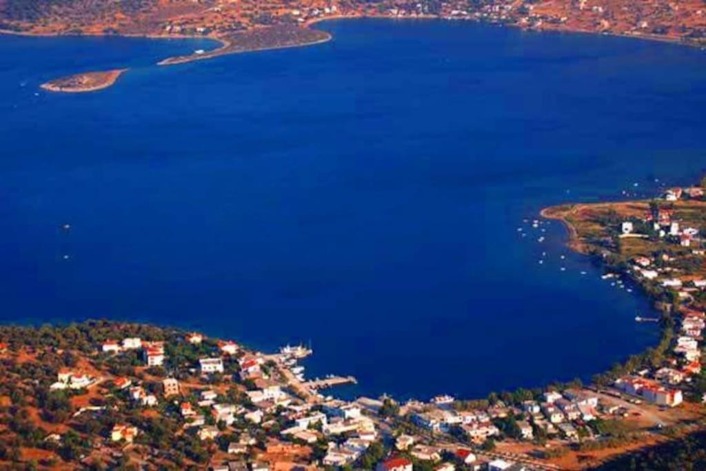 White Villa In Olive Trees And Seaview To Panagia Almiropótamos Exteriér fotografie