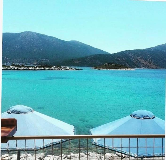 White Villa In Olive Trees And Seaview To Panagia Almiropótamos Exteriér fotografie
