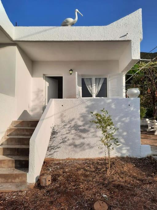 White Villa In Olive Trees And Seaview To Panagia Almiropótamos Exteriér fotografie